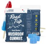 Road Trip Desert Stardust Mushroom Gummies 8pk Best Sales Price - Gummies