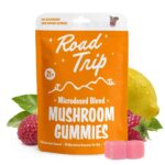 Road Trip Microdosed Blend Mushroom Gummies 20pk Best Sales Price - Gummies