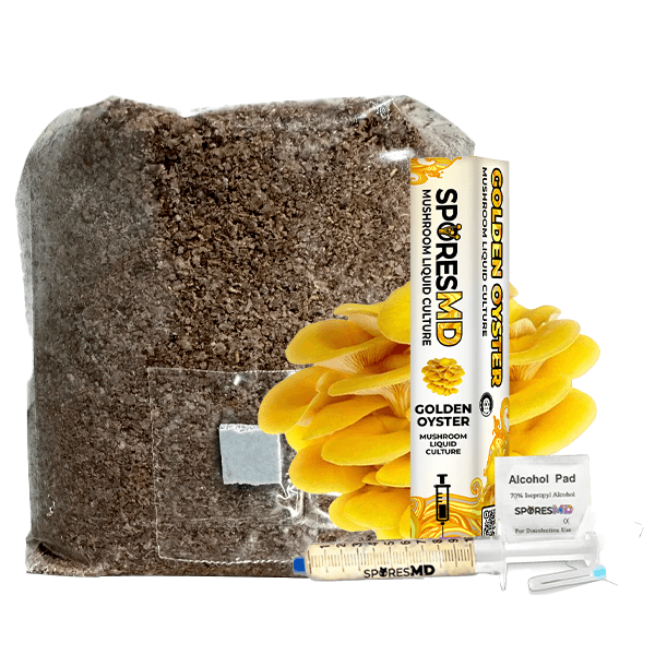 SporesMD Functional Mushroom Kit – Golden Oyster