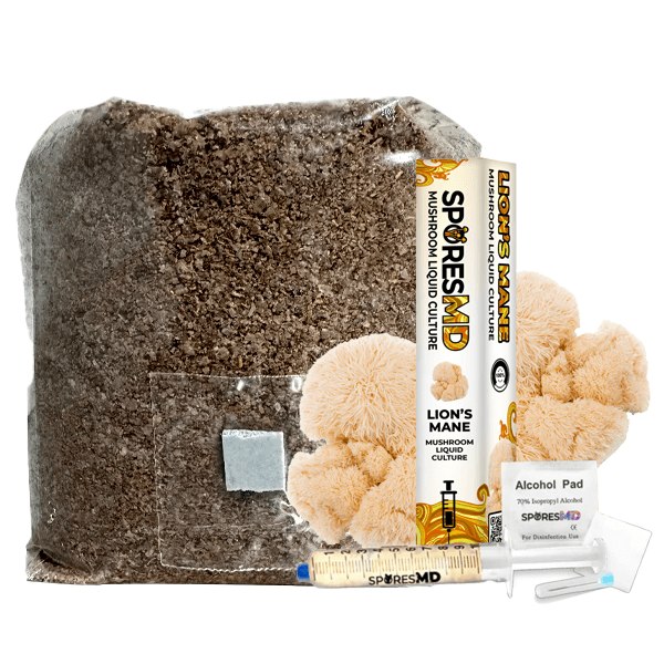 SporesMD Functional Mushroom Kit – Lions Mane