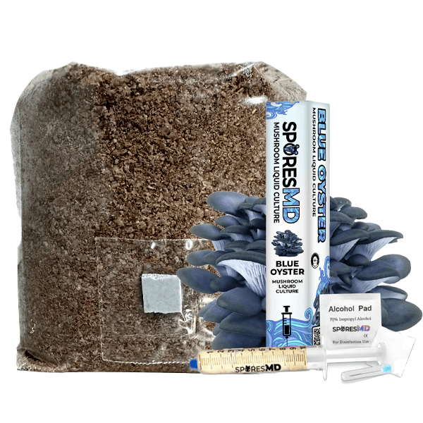 SporesMD Functional Mushroom Kit – Blue Oyster