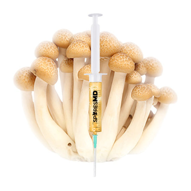 SporesMD Treasure Coast Mushroom Liquid Culture (10ml)