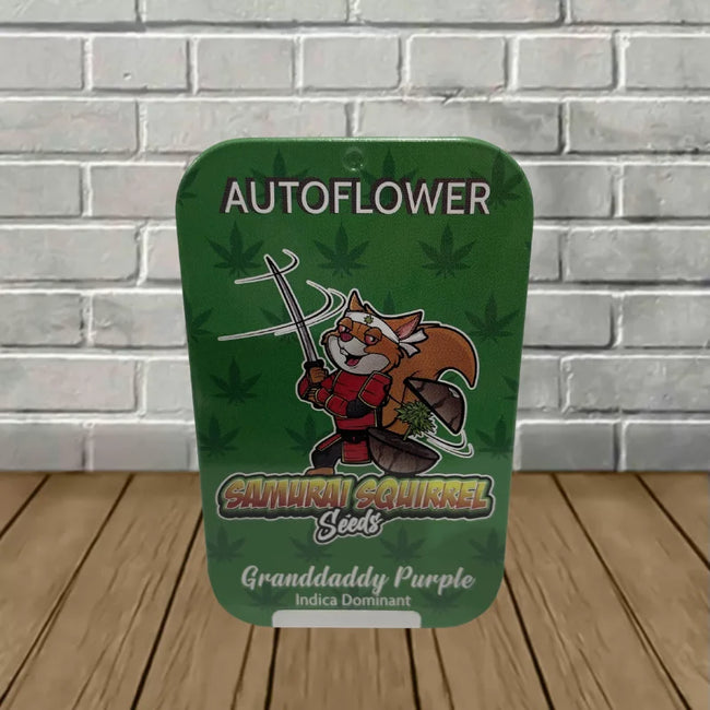 Samurai Squirrel Seeds Autoflowering Cannabis Seeds 5ct
