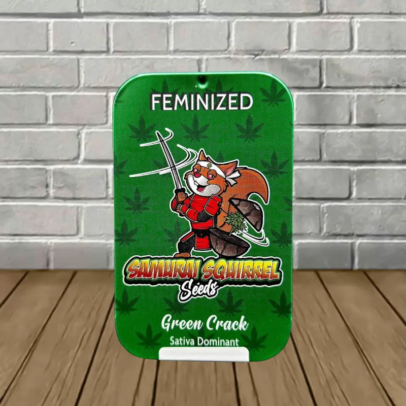 Samurai Squirrel Seeds Feminized Cannabis Seeds 5ct
