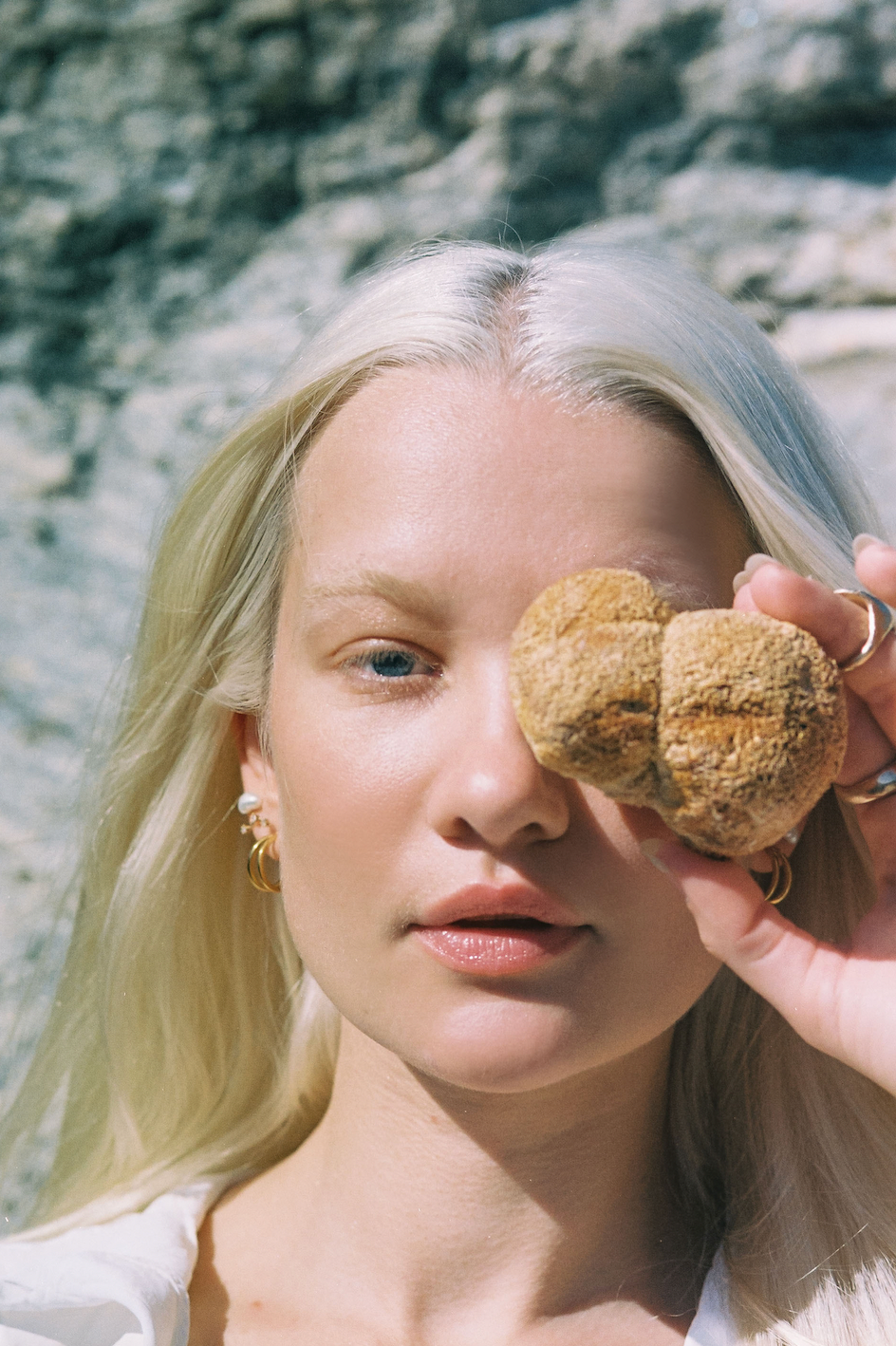 Mushroom Revival Focus Lion's Mane Powder Best Sales Price - Edibles