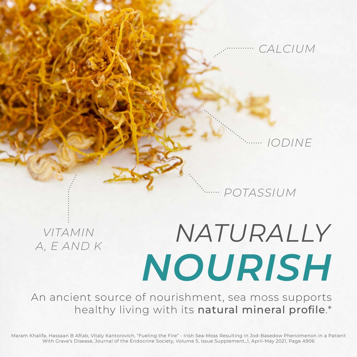 Neurogan Health Sea Moss Capsules