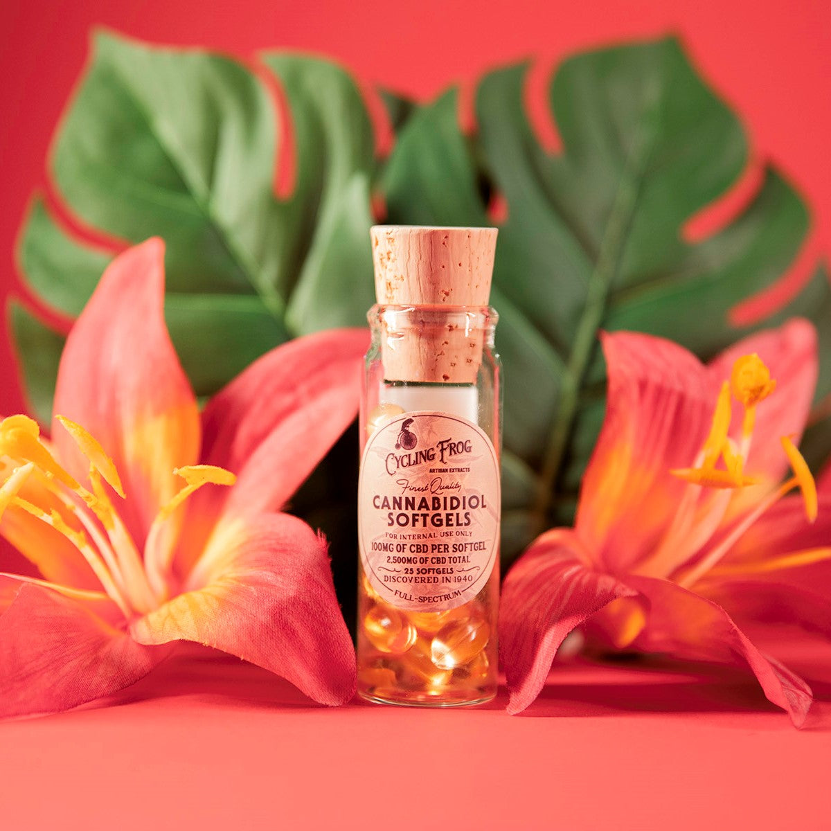 Cycling Frog CBD Softgels