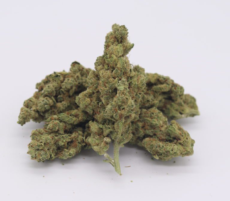 Bloomz | Premium THC-A Flower 3.5g - 7g Best Sales Price - CBD