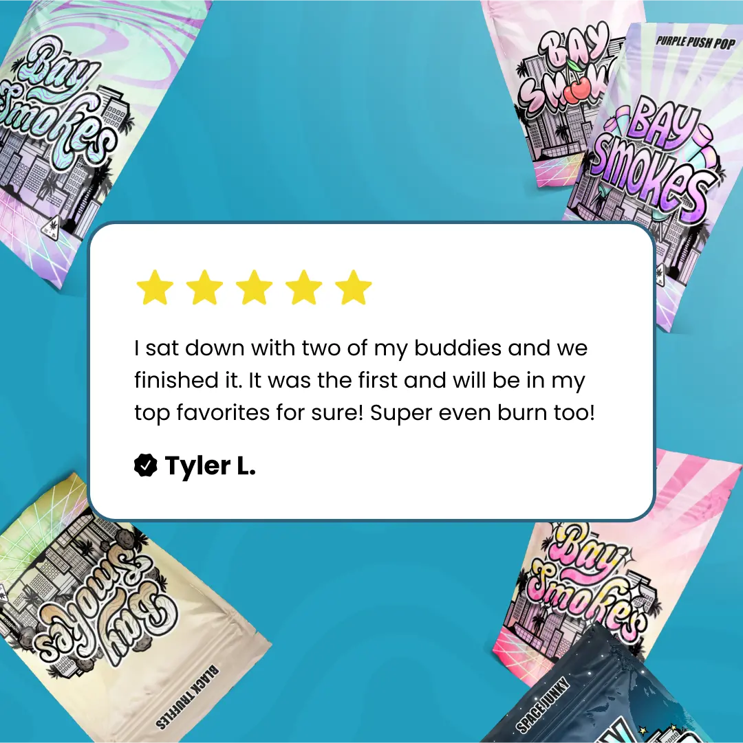 Bay Smokes THCa Hash Holes