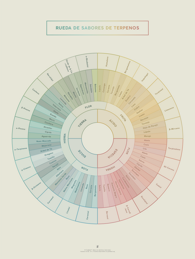GoldLeaf Diagrama de la Rueda de Sabores y Terpenos Impresión Best Sales Price - Art Prints