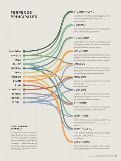 GoldLeaf Impresión Infográfica de Terpenos Best Sales Price - Art Prints