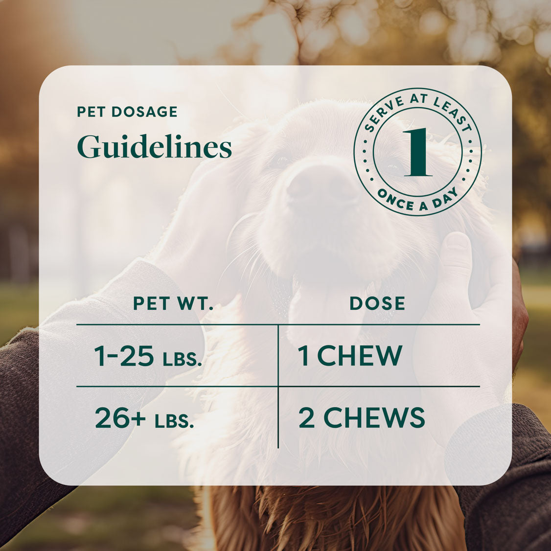 R&R CBD Multifunctional CBD Dog Chews