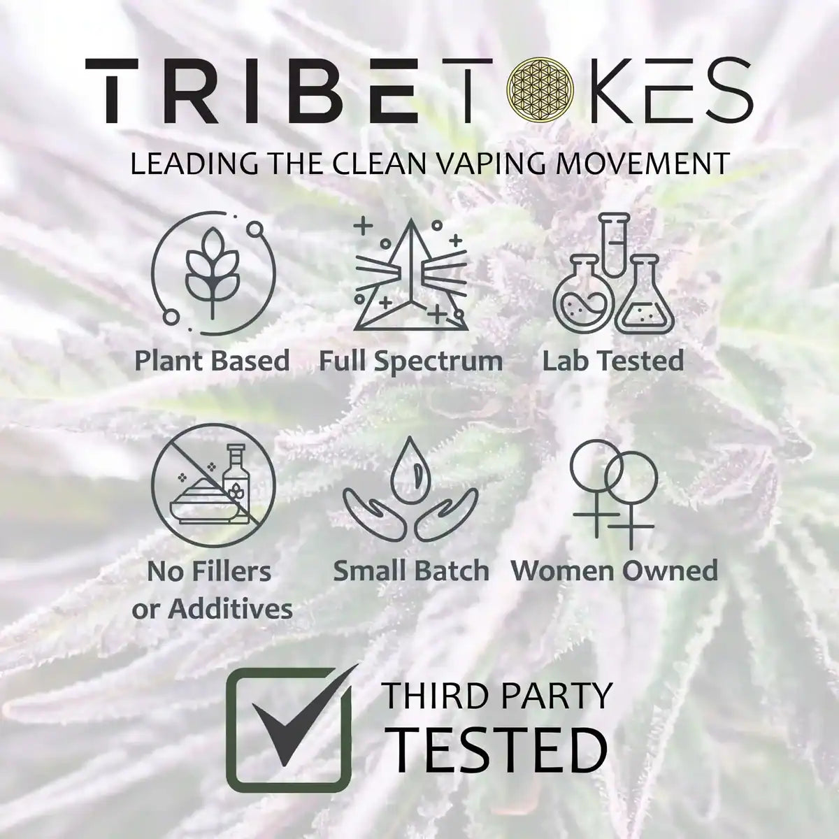 TribeTokes Wand 510-Thread Vape Battery — Pen Style | Storage Box Included