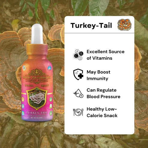 Royal Mushroom Mushroom Oil Tincture 60ml Best Sales Price - Tincture Oil