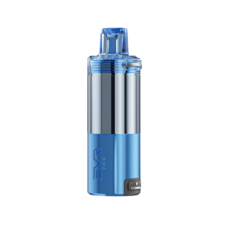 EVRFOG 100K Refillable Disposable POD Best Sales Price - Disposables