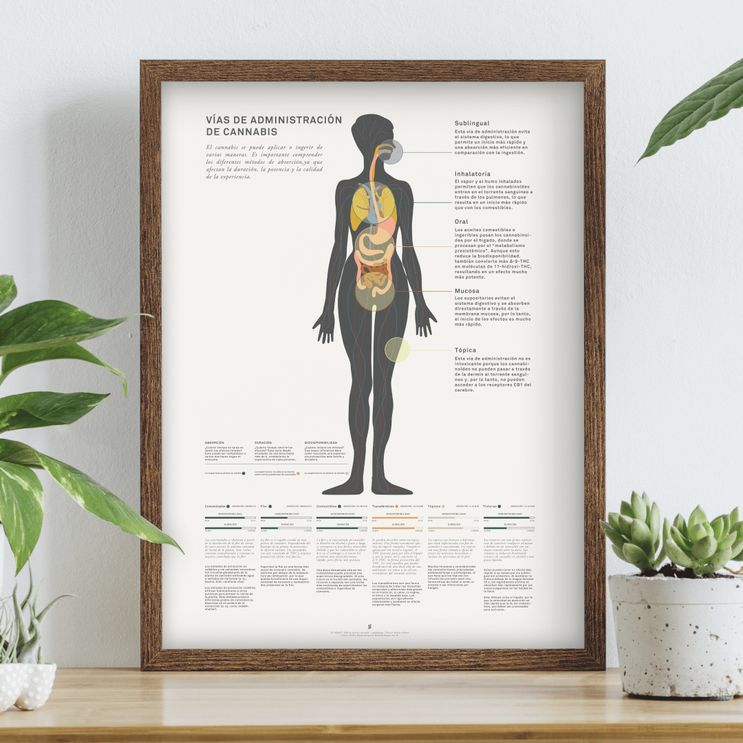 GoldLeaf Impresión Gráfico de Métodos Administración de Cannabis Best Sales Price - Art Prints