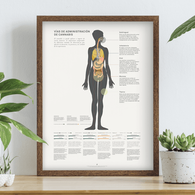 GoldLeaf Impresión Gráfico de Métodos Administración de Cannabis Best Sales Price - Art Prints