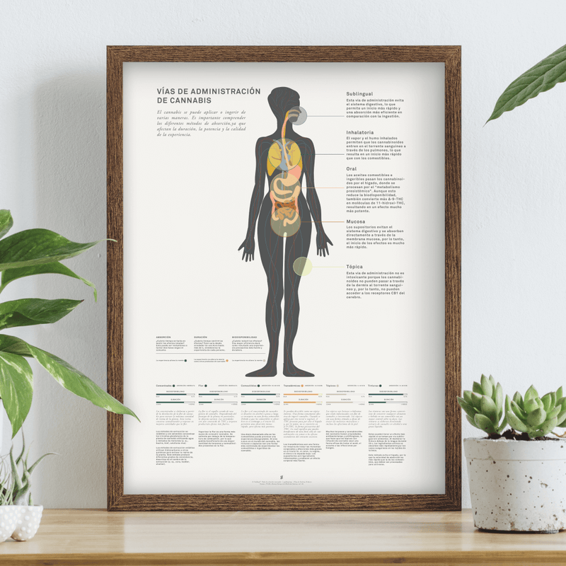 GoldLeaf Impresión Gráfico de Métodos Administración de Cannabis Best Sales Price - Art Prints