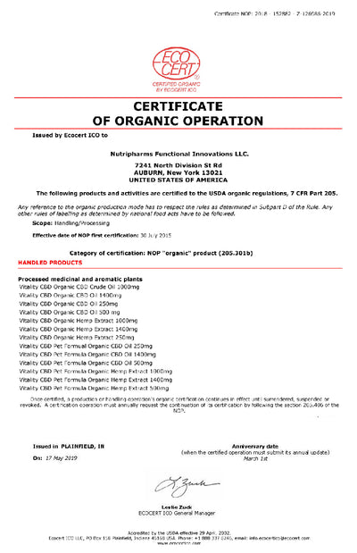 Organic CBD Oil Best Sales Price - Tincture Oil