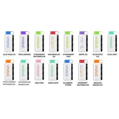 Vozol Star Disposable (9000 Puffs) Best Sales Price - Disposables