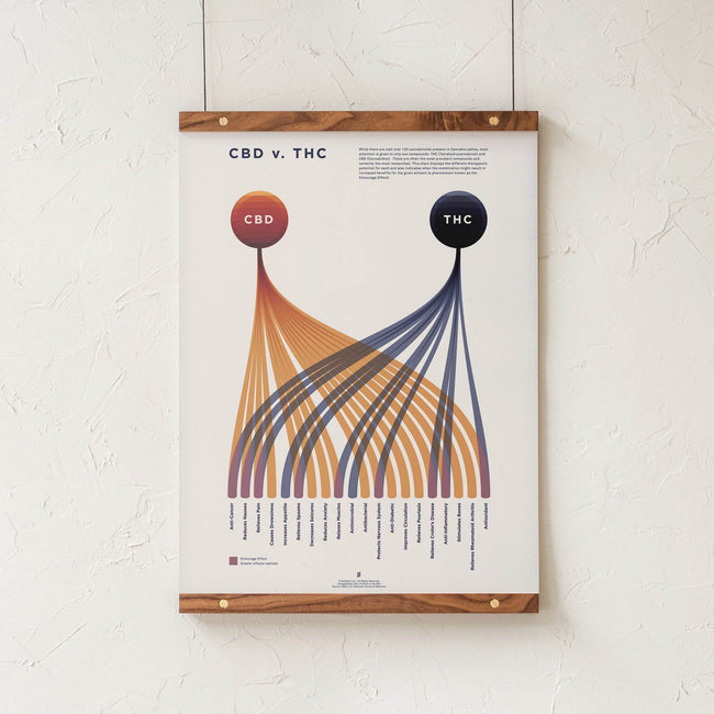 GoldLeaf CBD v. THC Comparison Chart Print Best Sales Price - Art Prints