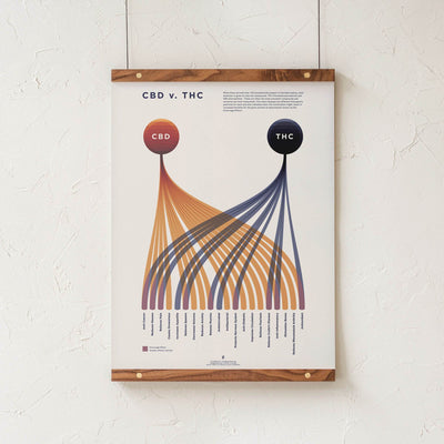 GoldLeaf Cuadro Comparativo de CBD vs. THC Best Sales Price - Art Prints