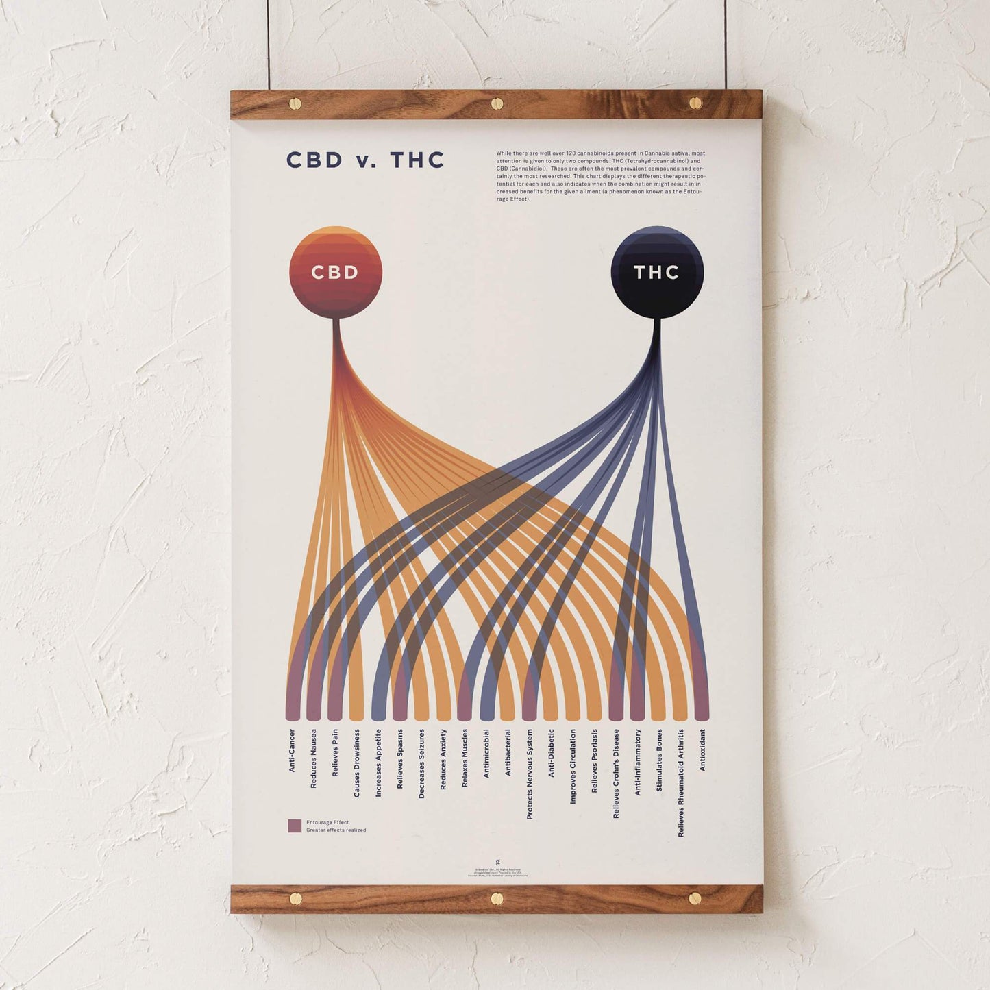 GoldLeaf Cuadro Comparativo de CBD vs. THC Best Sales Price - Art Prints