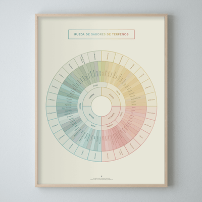 GoldLeaf Diagrama de la Rueda de Sabores y Terpenos Impresión Best Sales Price - Art Prints