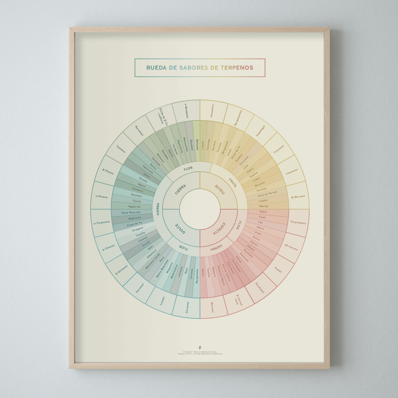 GoldLeaf Diagrama de la Rueda de Sabores y Terpenos Impresión Best Sales Price - Art Prints