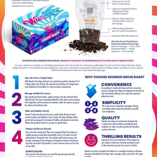 Wunder Mushroom 12000mg + Kava 1000mg Gummies 10ct