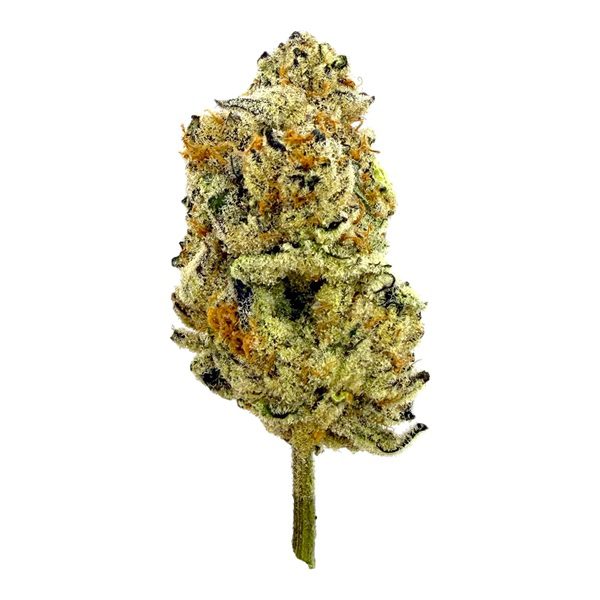 YUMZ AAA Exotics Anchovy Pizza THCA Flower – 30.00%