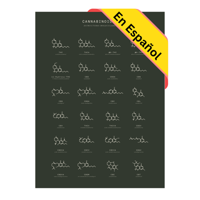 GoldLeaf Gráfico de Estructuras Moleculares de Cannabinoides Best Sales Price - Art Prints