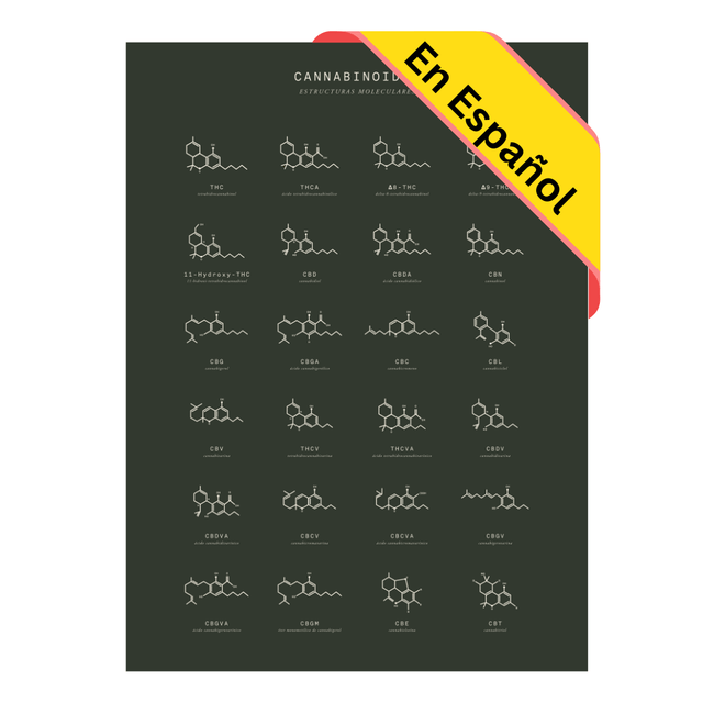 GoldLeaf Gráfico de Estructuras Moleculares de Cannabinoides Best Sales Price - Art Prints