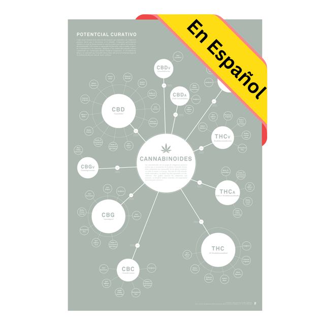 GoldLeaf Tabla de Cannabinoides Impresión en Español Best Sales Price - Art Prints