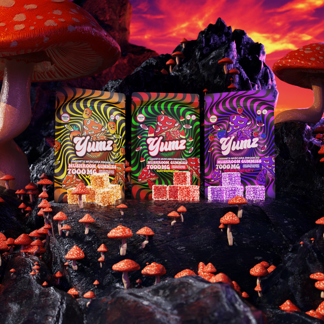 YUMZ - Amanita Muscaria Mushroom Gummies ( Bundle ) Best Sales Price - Gummies