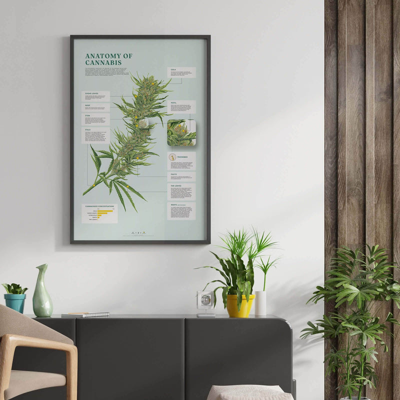 GoldLeaf Anatomy of Cannabis Print Best Sales Price - Art Prints