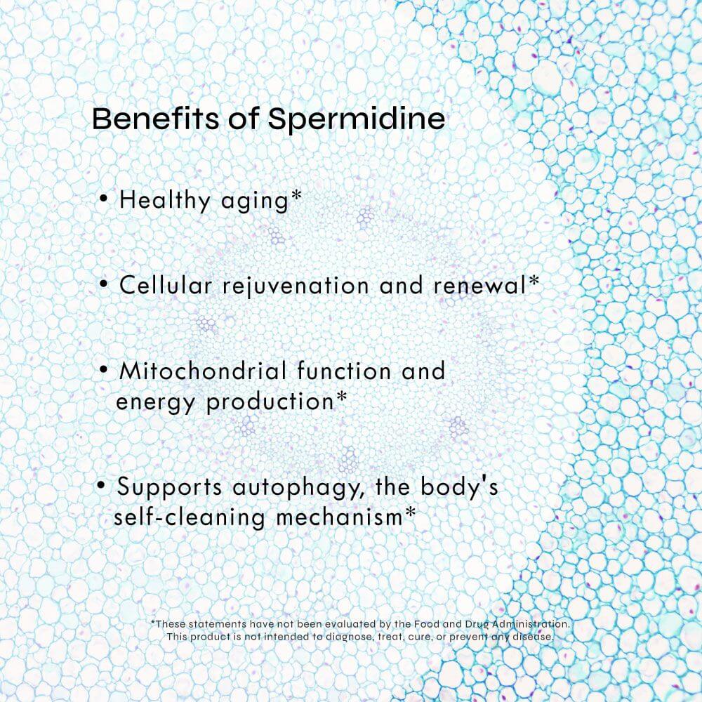 Neurogan Health Spermidine Tablets