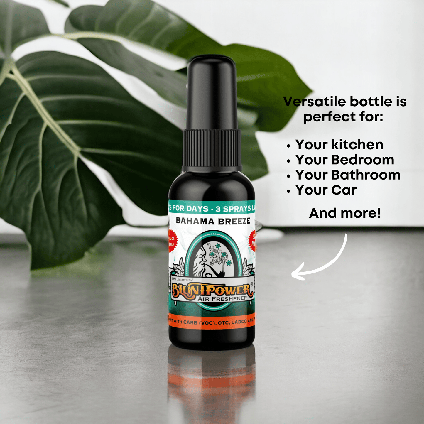 Bahama Breeze Air Freshener Spray