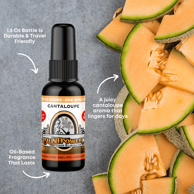 Cantaloupe Long Lasting Air Freshener Spray