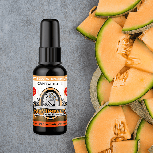 Cantaloupe Long Lasting Air Freshener Spray