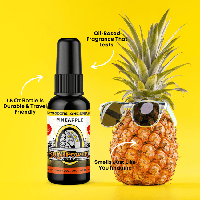 Pineapple Long Lasting Air Freshener Spray Best Sales Price - Smoke Odor Eliminators