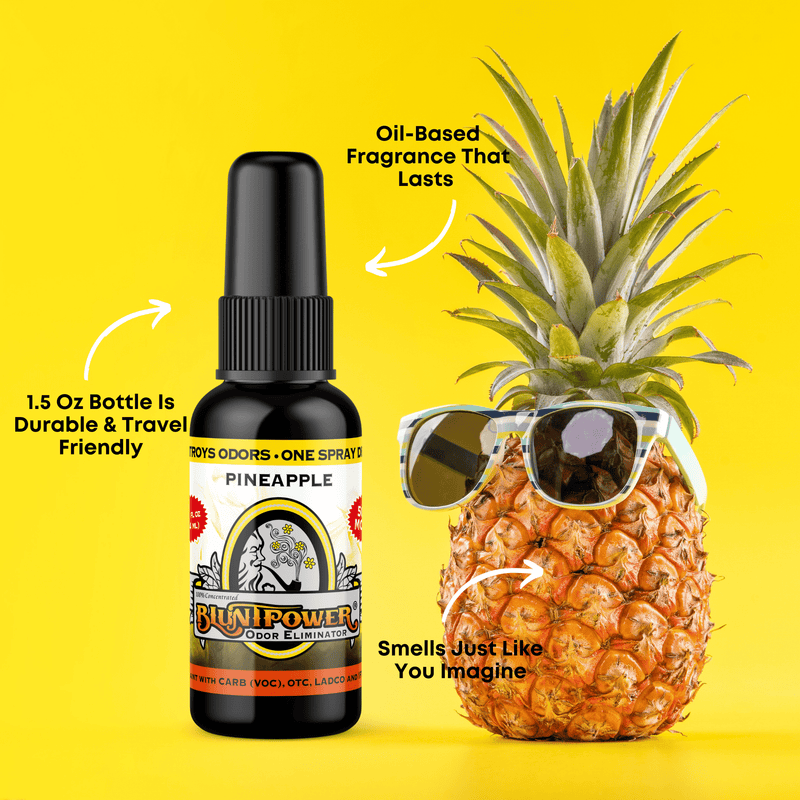 Pineapple Long Lasting Air Freshener Spray Best Sales Price - Smoke Odor Eliminators