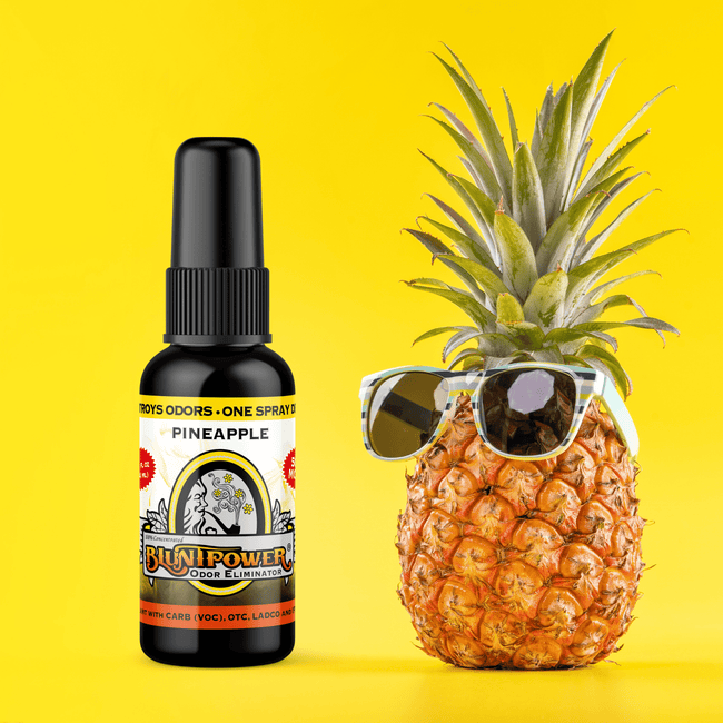 Pineapple Long Lasting Air Freshener Spray Best Sales Price - Smoke Odor Eliminators