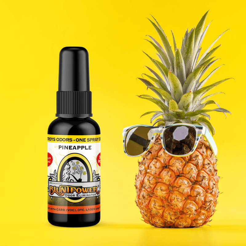 Pineapple Long Lasting Air Freshener Spray Best Sales Price - Smoke Odor Eliminators