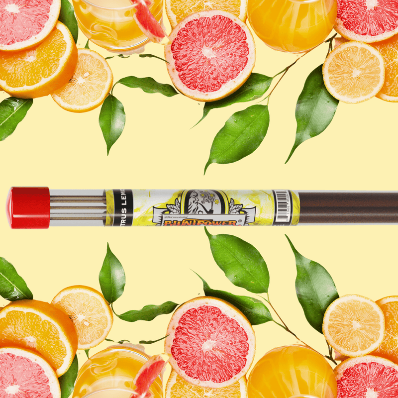 Citrus Lemon Long Incense Sticks Best Sales Price - Smoke Odor Eliminators