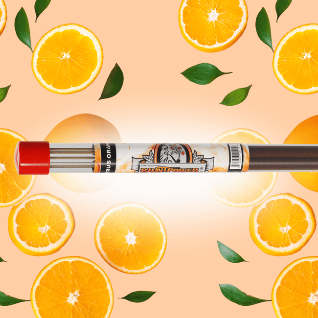Citrus Orange Long Incense Sticks