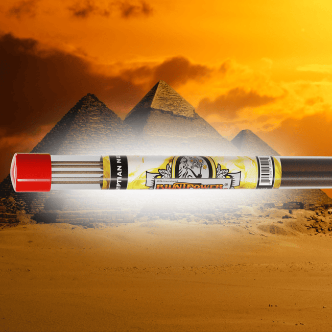 Egyptian Musk Long Incense Sticks