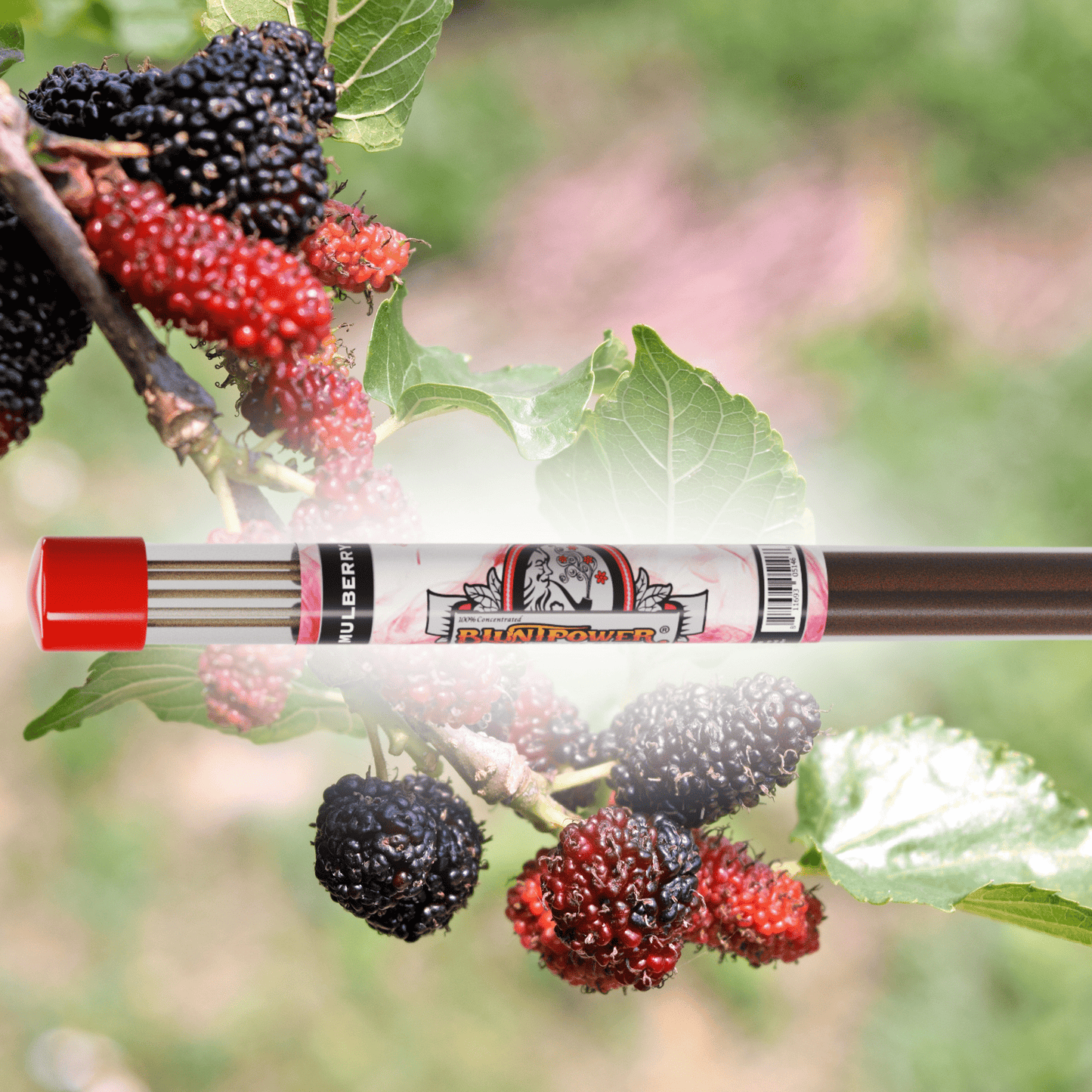 Mulberry Long Incense Sticks Best Sales Price - Smoke Odor Eliminators