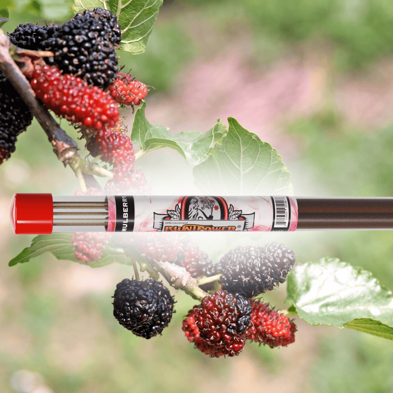 Mulberry Long Incense Sticks Best Sales Price - Smoke Odor Eliminators