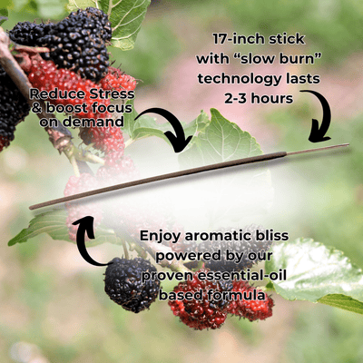 Mulberry Long Incense Sticks Best Sales Price - Smoke Odor Eliminators
